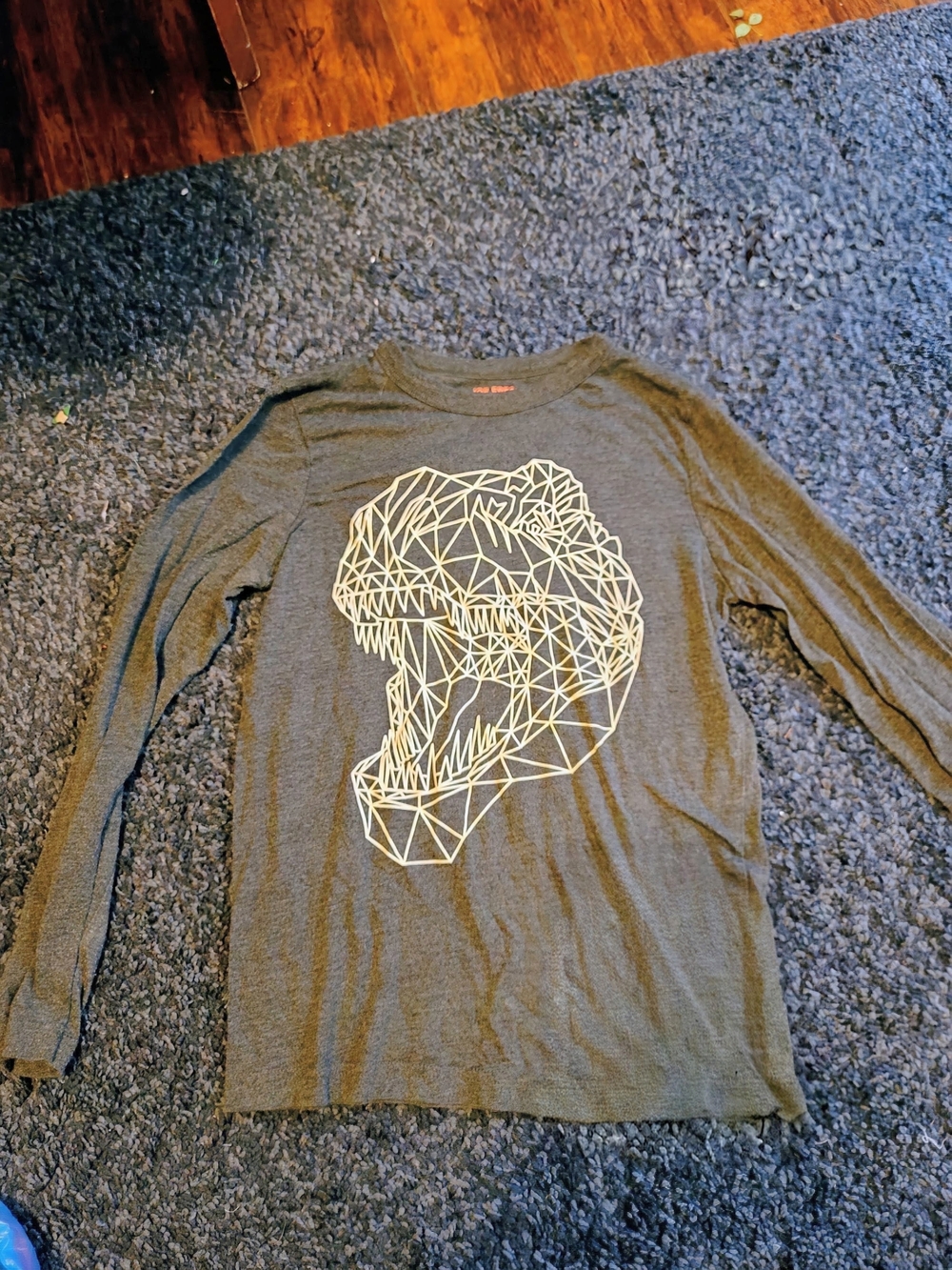 Men's Long Sleeve Graphic T-Shirt - Olive Green with Dino Print